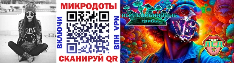 Псилоцибиновые грибы Psilocybe где продают кракен как зайти Козельск